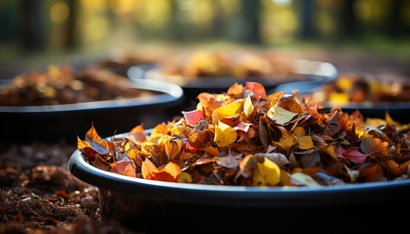 Divers - Pourquoi le compostage des feuilles à l’automne est important